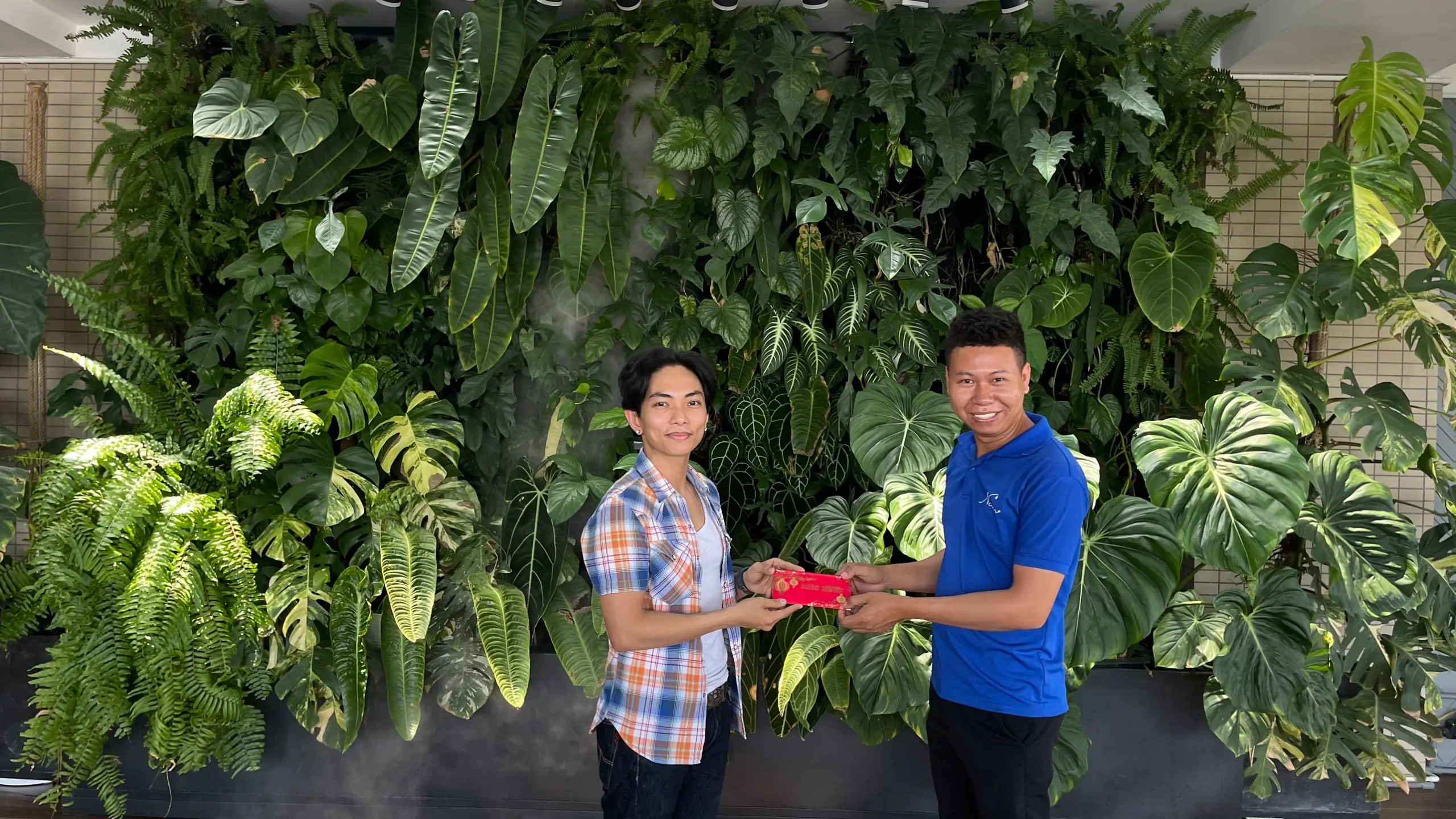 Mảng xanh tự động chăm sóc tại nhà anh Phan Hiển và chị Khánh Thi
