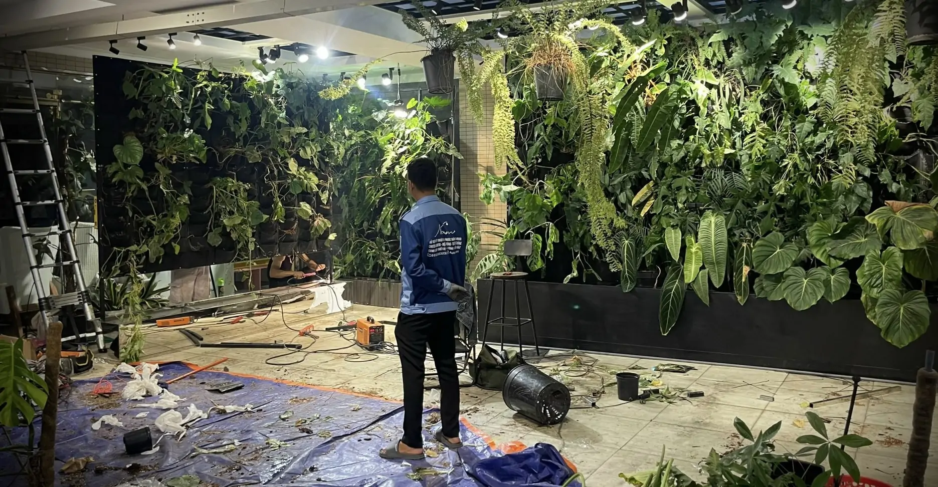 Mảng xanh tự động chăm sóc tại nhà anh Phan Hiển và chị Khánh Thi