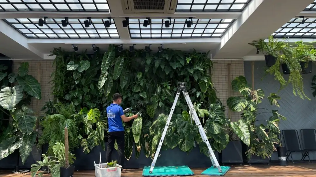 Mảng xanh tự động chăm sóc tại nhà anh Phan Hiển và chị Khánh Thi